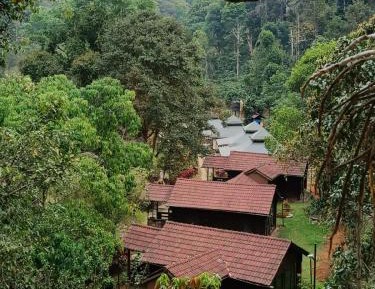Deluxe Cottage