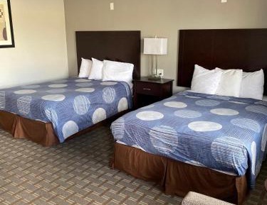 Budget Twin Room