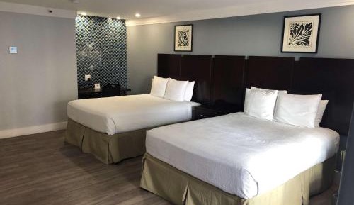Queen Room with Two Queen Beds - Ocean View - Non-smoking
