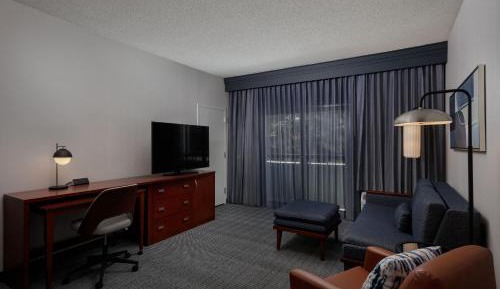 King Suite with Sofa Bed