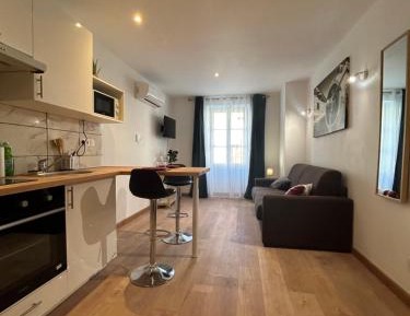 Studio Apartment