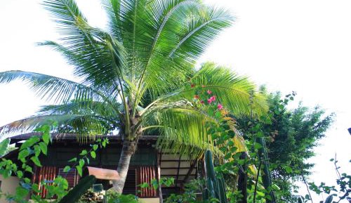 Bungalow