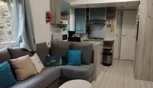 Mobile Home