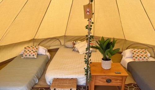 Tent