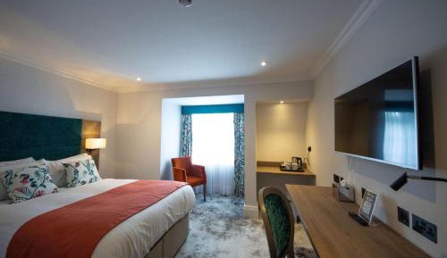 Cozy Double Room 