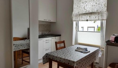One-Bedroom Apartment with Shower