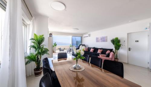 Penthouse Apartment