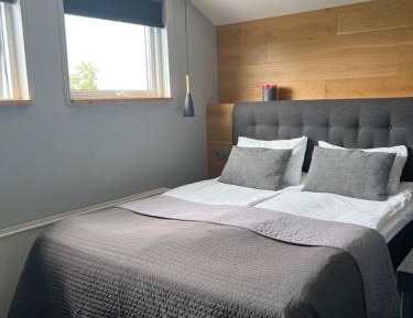 King Studio with Sofa Bed