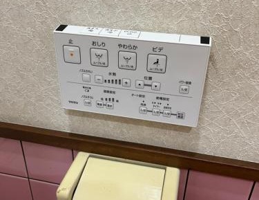 Single Bed in Female Dormitory Room
