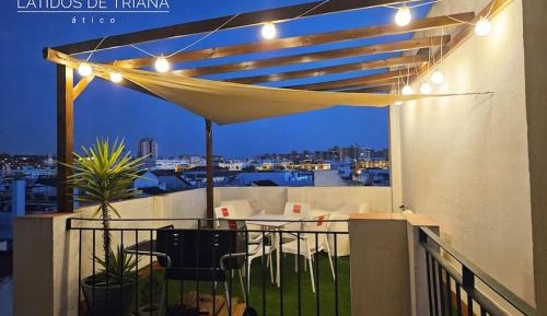 Penthouse Apartment