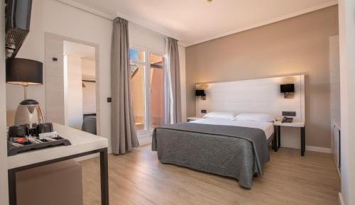 Double or Twin Room with Terrace