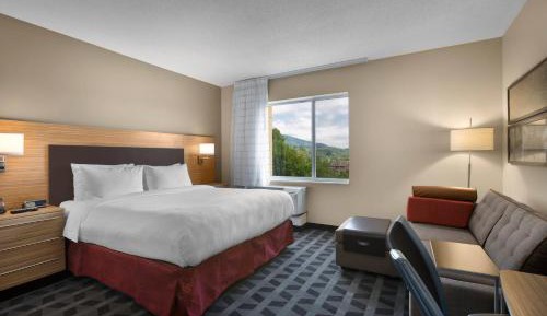 Studio, 1 King, Sofa bed, Mountain view