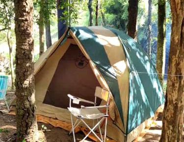 Tent