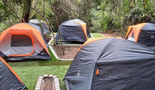 Standard Tent