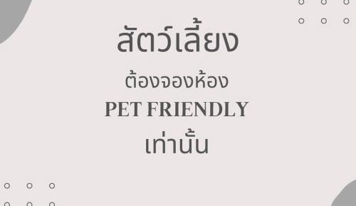 PetZleep Twin Room - Pet Allowed