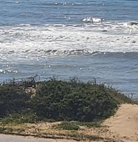 Deluxe Double or Twin Room with Sea View