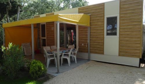 Mobile Home