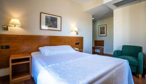 Double or Twin Room with Cathedral View