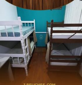 Bunk Bed in Mixed Dormitory Room