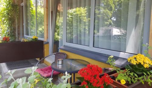 Twin Room with Terrace