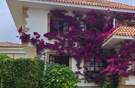 Holiday Home