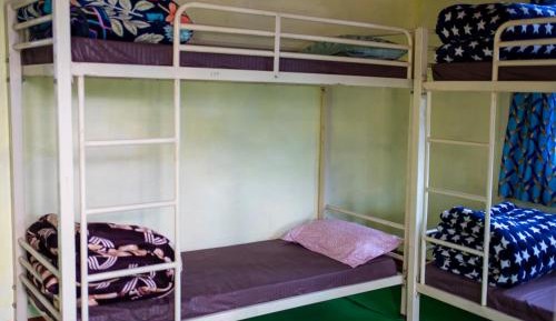 Bed in 6-Bed Mixed Dormitory Room