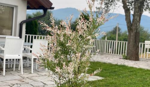 Villa with Garden View