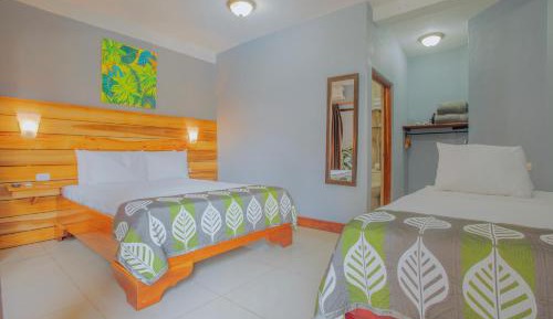 Downtown Triple (1 Full bed + 1 Single Bed)