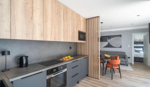 Luxury One Bedroom Apartment with Terrace