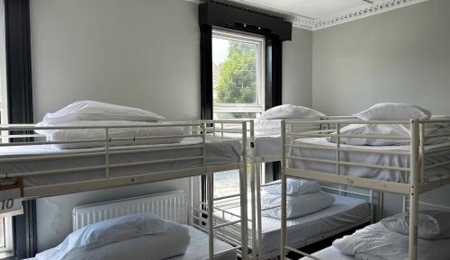 Bed in 8-Bed Mixed Dormitory Room