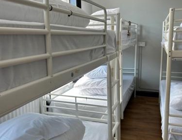 Bed in 6-Bed Mixed Dormitory Room