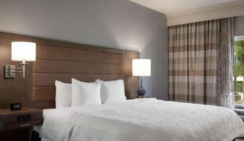 One-Bedroom King Suite with Sofa Bed - Non-Smoking