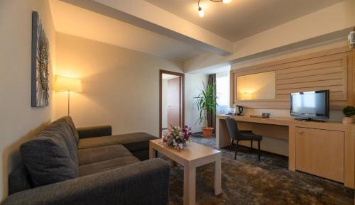 Superior Suite with Danube View 