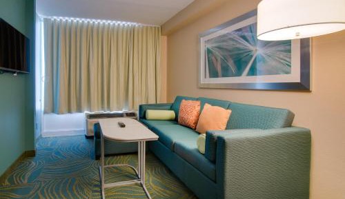 King Suite with Sofa Bed