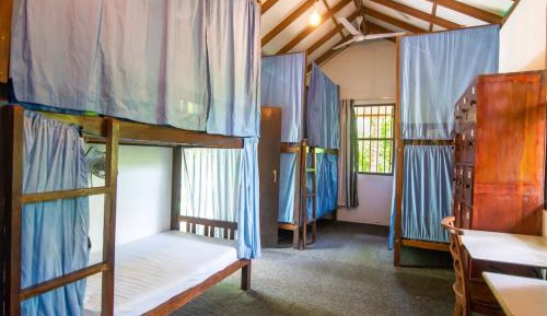 Single Bed in Dormitory Room
