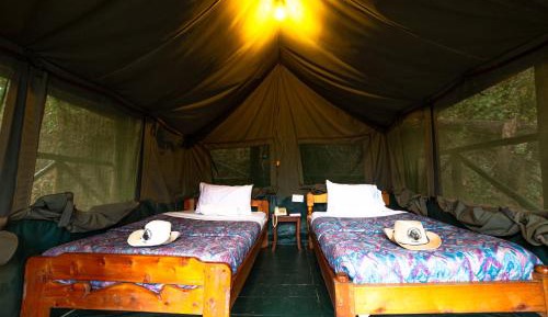 Furnished Tent