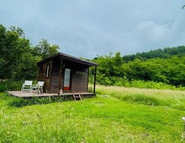 Mobile Home