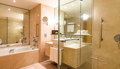 Premium King Room with City View and Lounge Access 