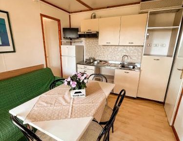 Mobile Home