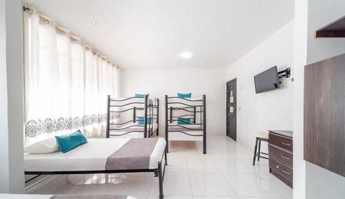 Bed in 8-Bed Mixed Dormitory Room