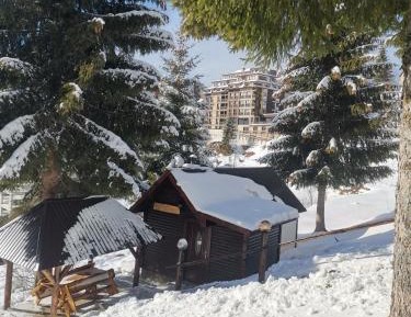 One-Bedroom Chalet