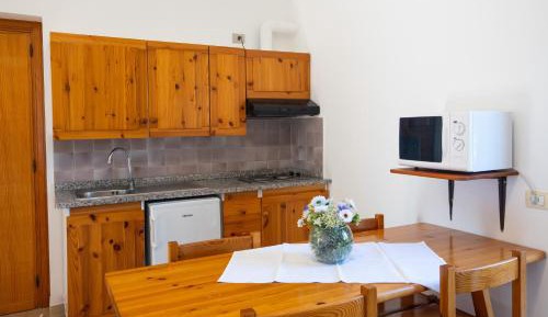 Economy One-Bedroom Apartment  - Large