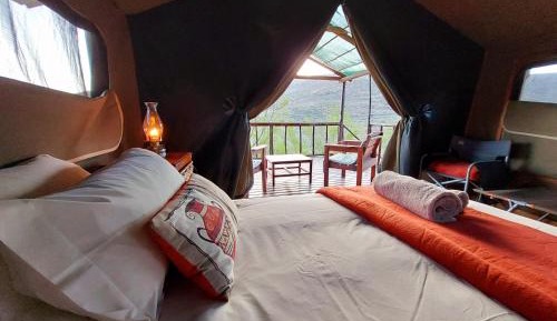 King Tent 