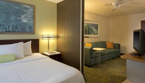 Deluxe King Suite