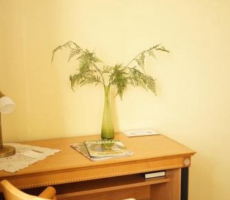 Comfort Single Room