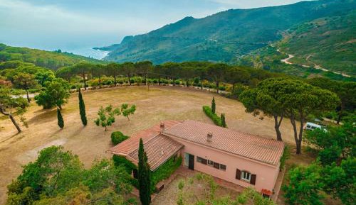 Standard Villa