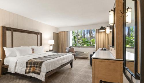 King Room