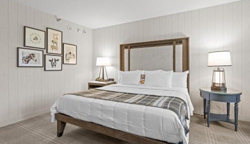 Queen Room