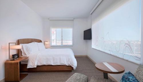 One Bedroom King Suite, 1 Bedroom Suite, 1 King, Sofa bed