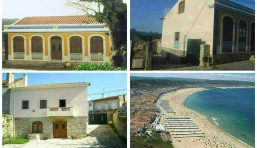 Superior Villa
